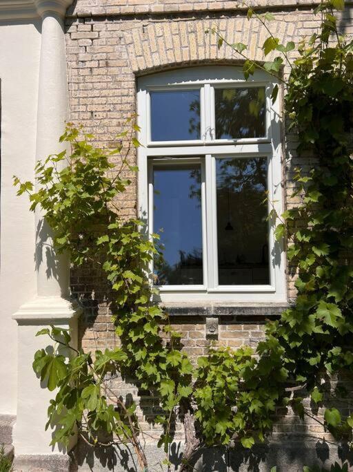Idyllisches Appartement Nahe Ostsee Und Schlei Rabenkirchen-Faulueck Exterior photo